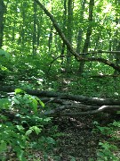 NCT; Michigan; National Forest 400 [20150623NF400]-- Old Route 64